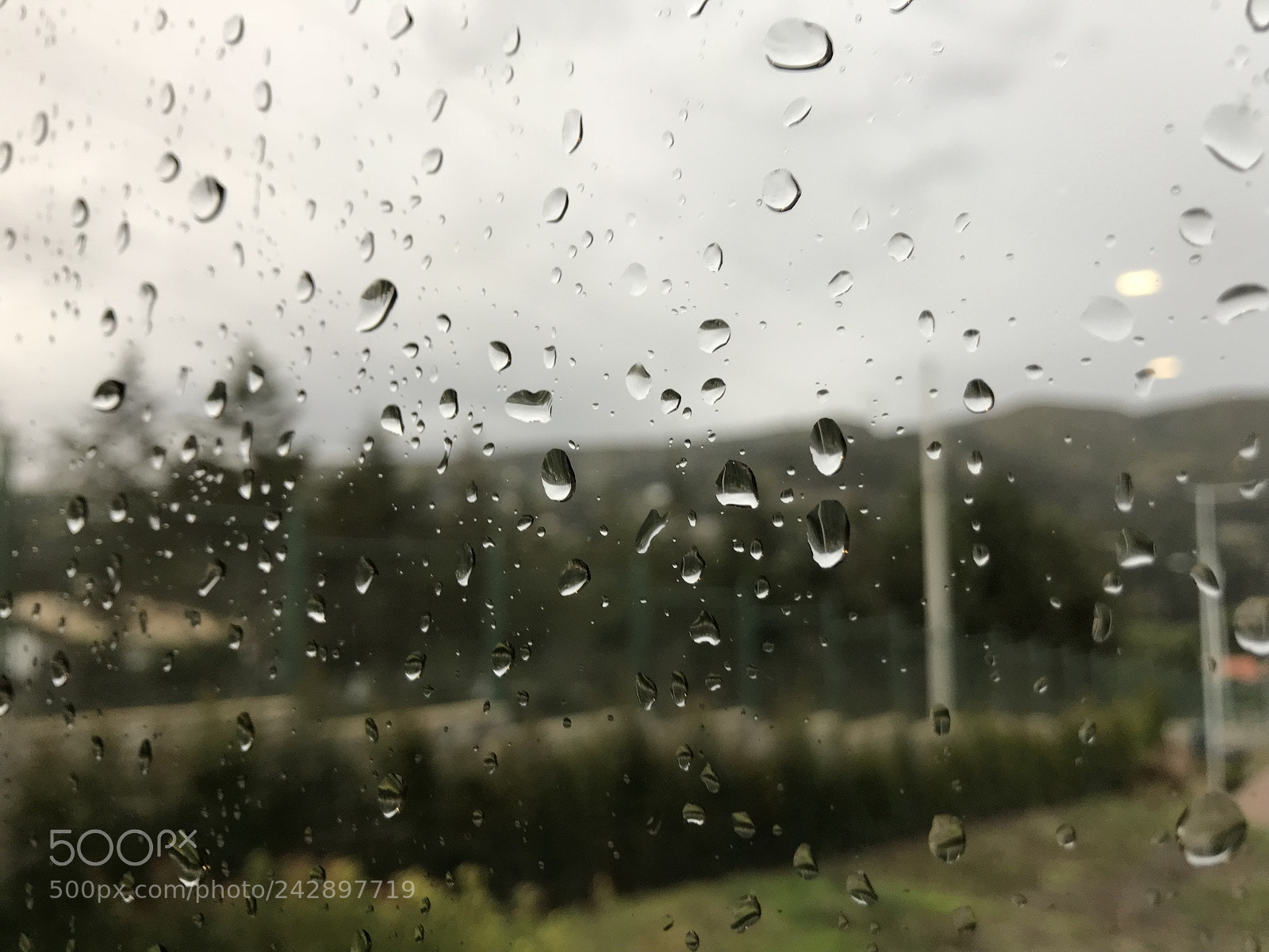 Apple iPhone 7 sample photo. Untitled photography