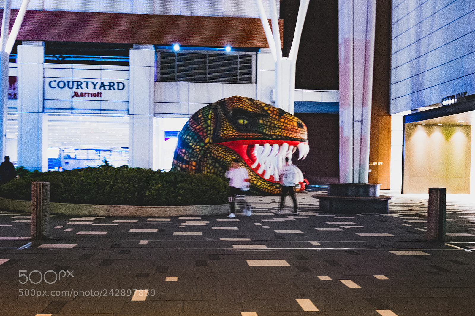 Fujifilm X-M1 sample photo. 恐龍 photography