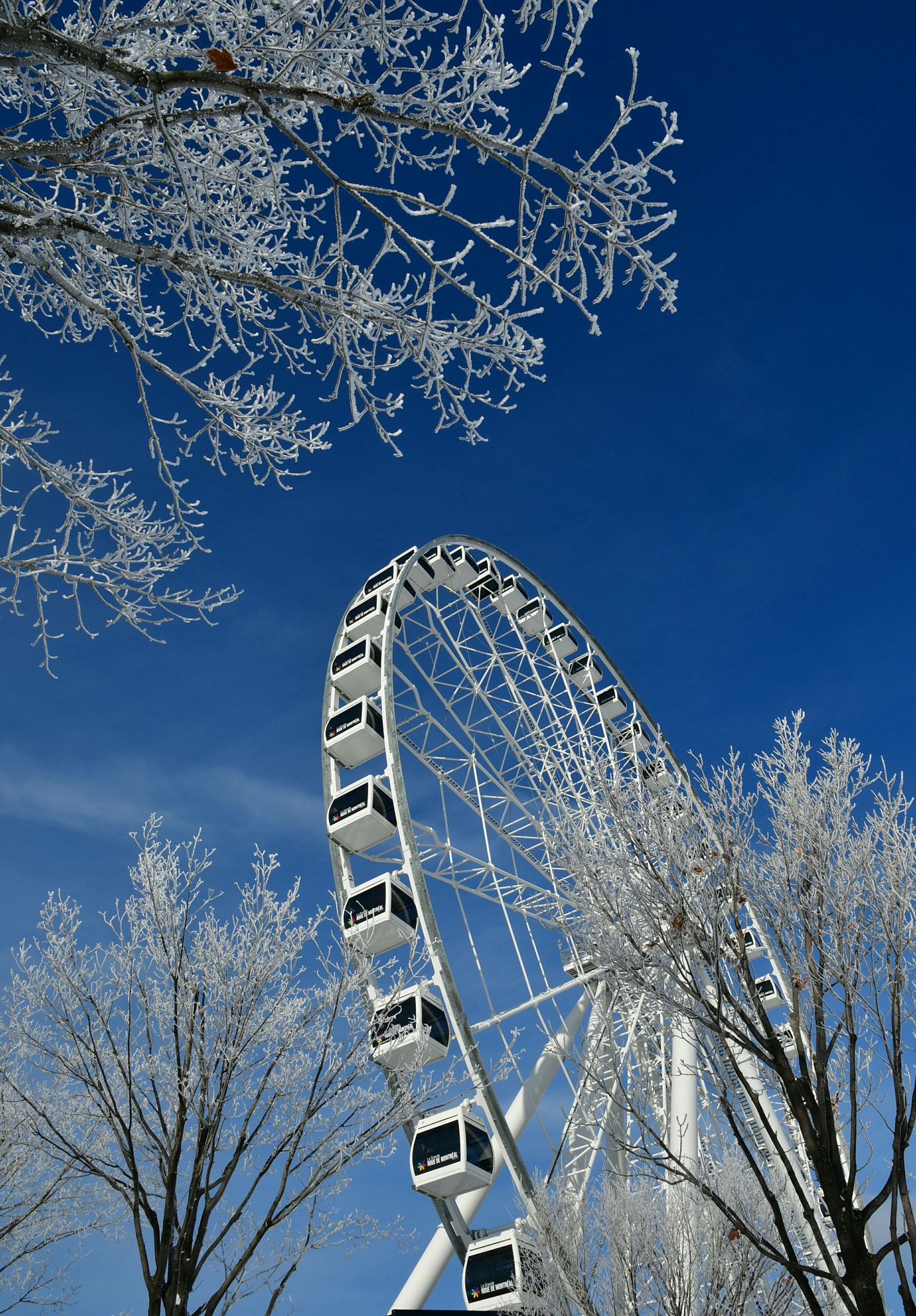 Nikon D7500 sample photo. Sky wheel  photography