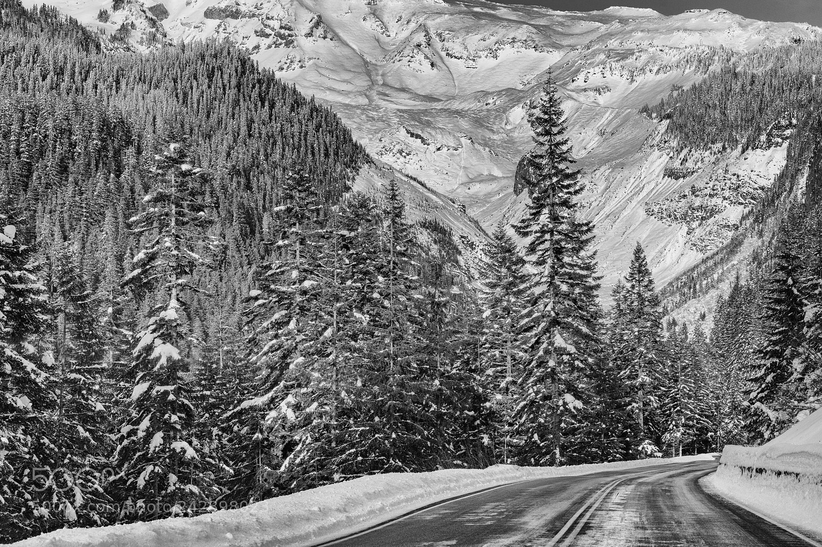 Nikon D7200 sample photo. Mount rainier national park photography