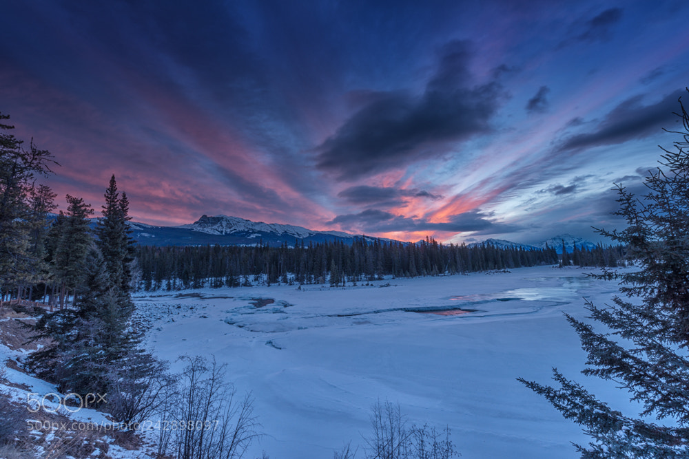 Nikon D800 sample photo. Fire on the mountain photography