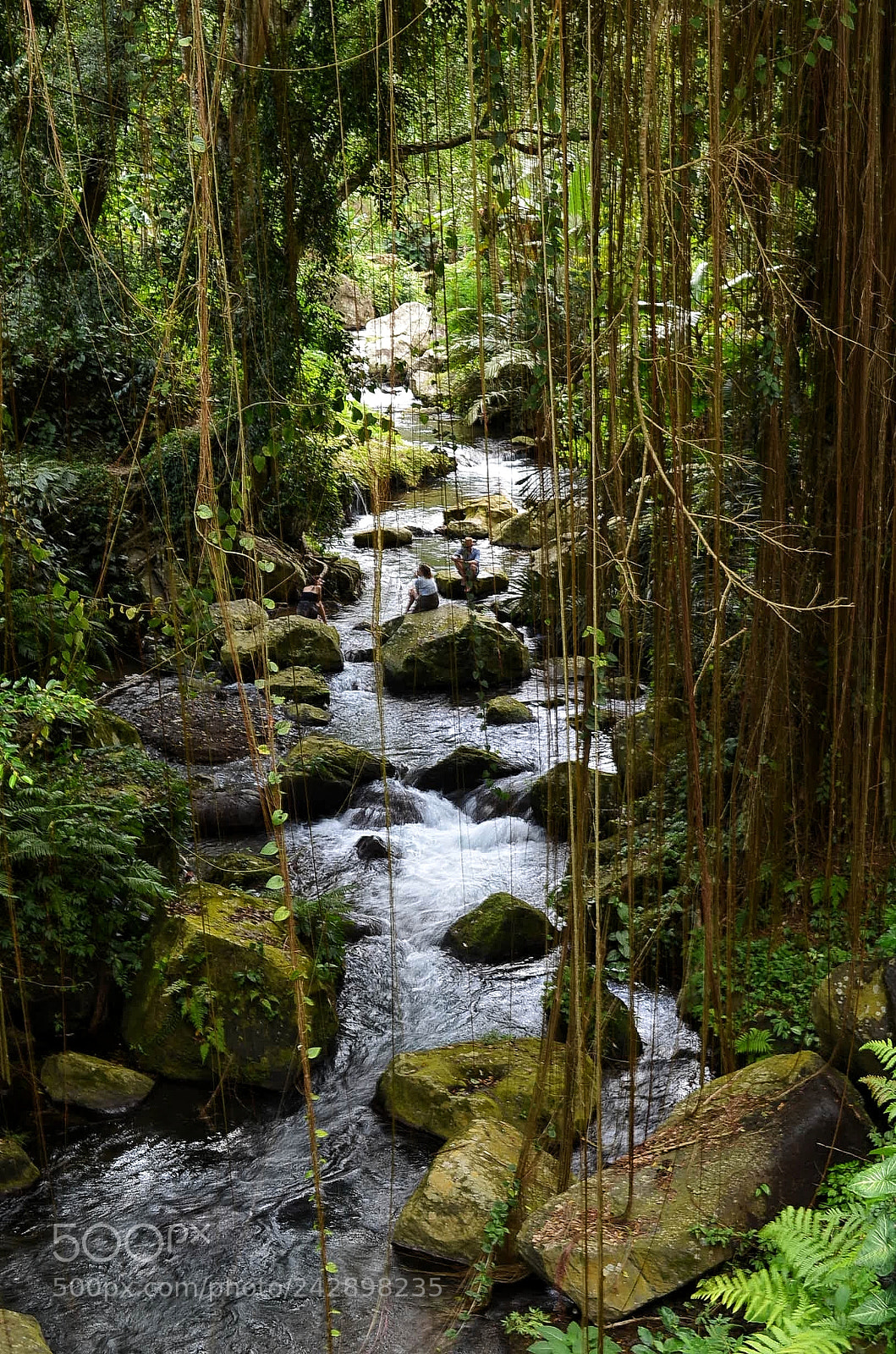 Nikon D5100 sample photo. Flowing through photography