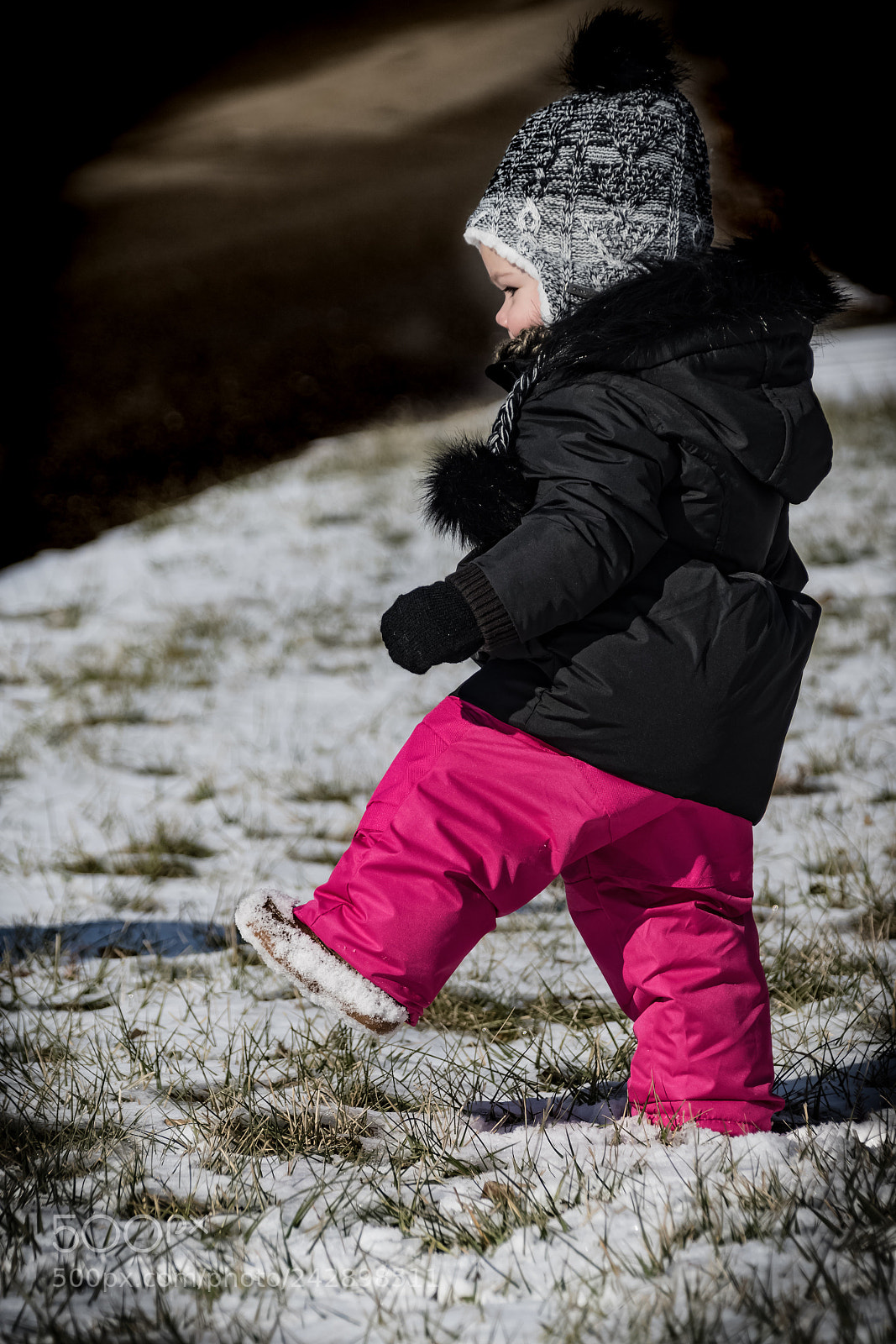 Nikon D500 sample photo. First time in the photography