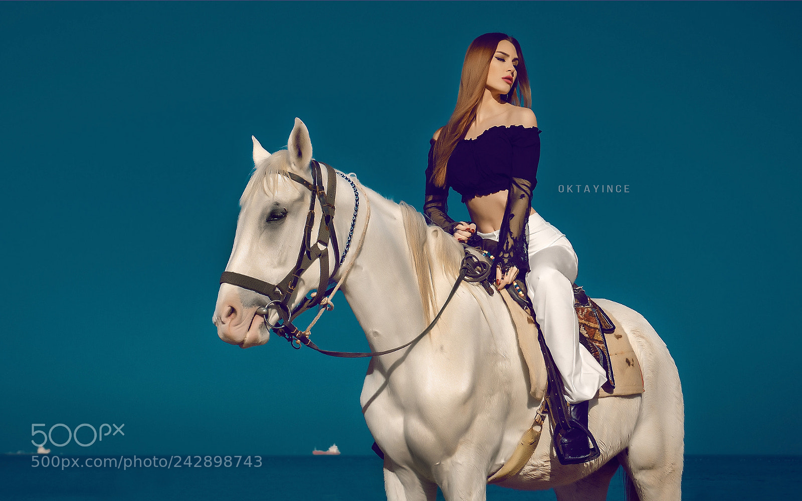 Sony a6300 sample photo. Sny01718qqq.jpg photography