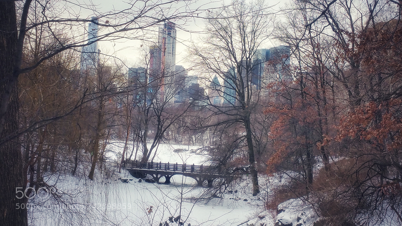 Samsung Galaxy Note4 sample photo. Untitled photography