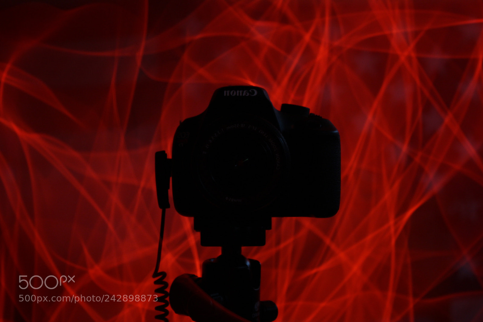 Canon EOS 1200D (EOS Rebel T5 / EOS Kiss X70 / EOS Hi) sample photo. Red photography