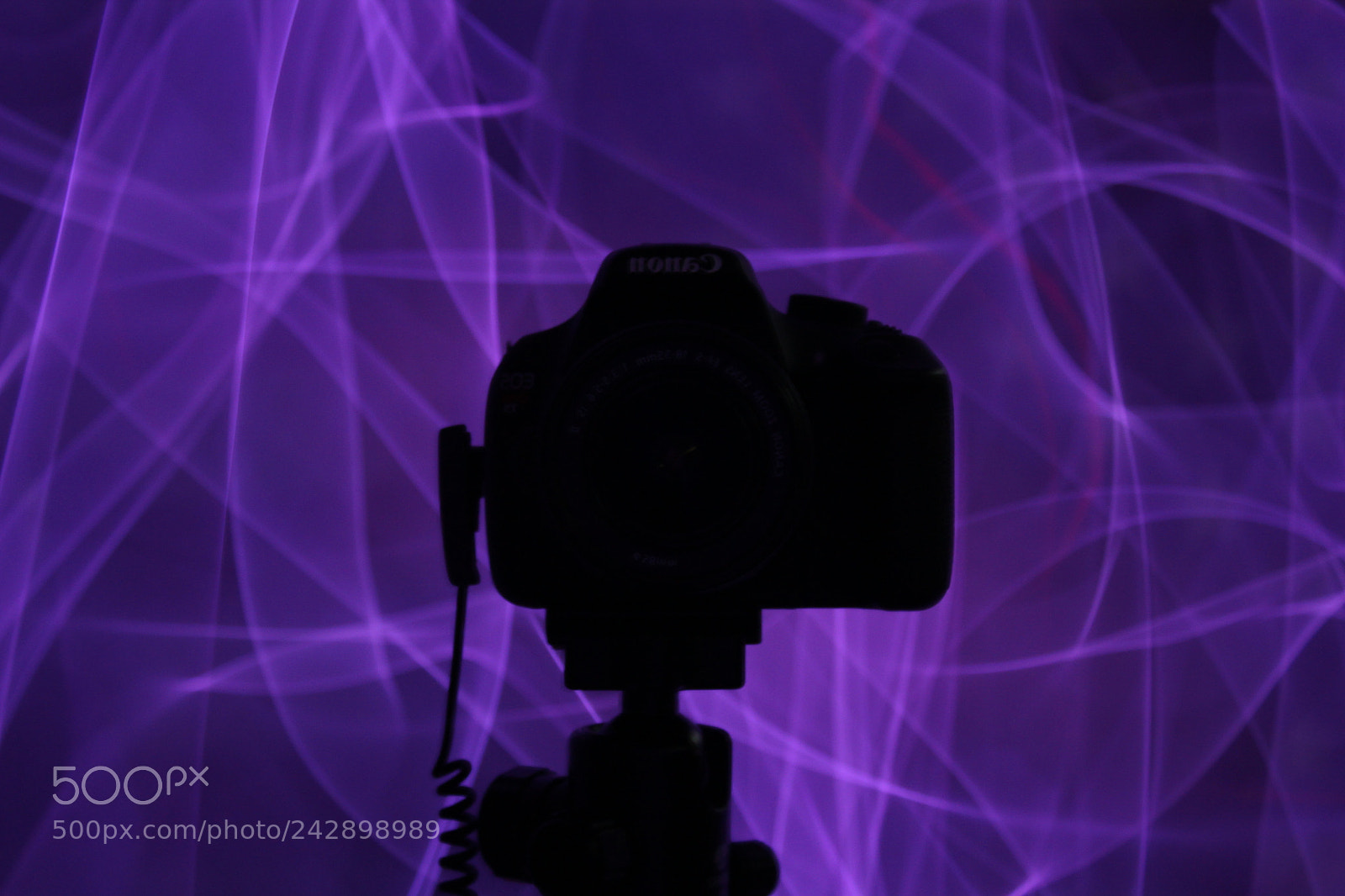Canon EOS 1200D (EOS Rebel T5 / EOS Kiss X70 / EOS Hi) sample photo. Purple photography