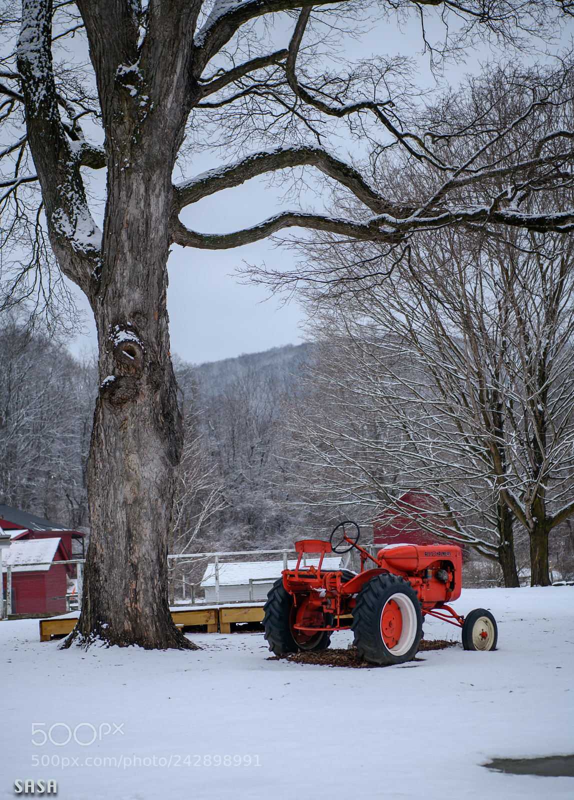 Nikon D850 sample photo. Light snow photography