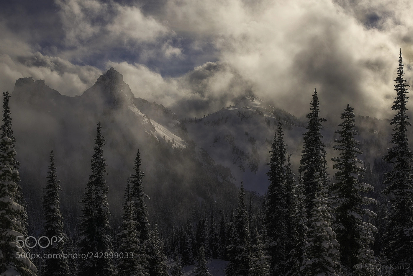 Nikon D800 sample photo. Mazama ridge photography
