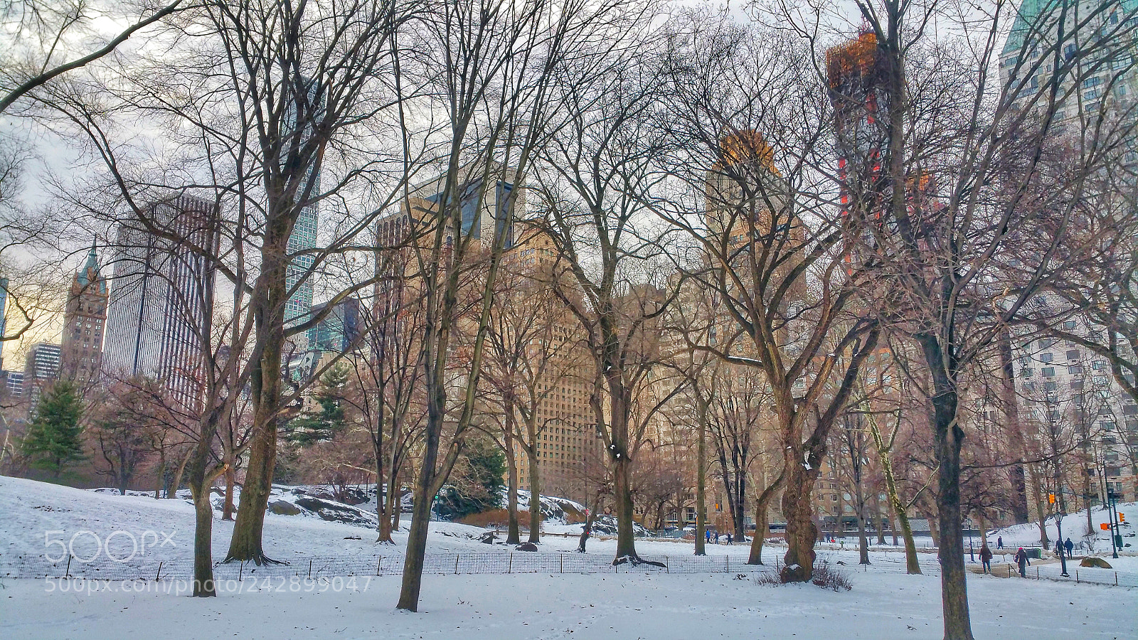 Samsung Galaxy Note4 sample photo. Untitled photography