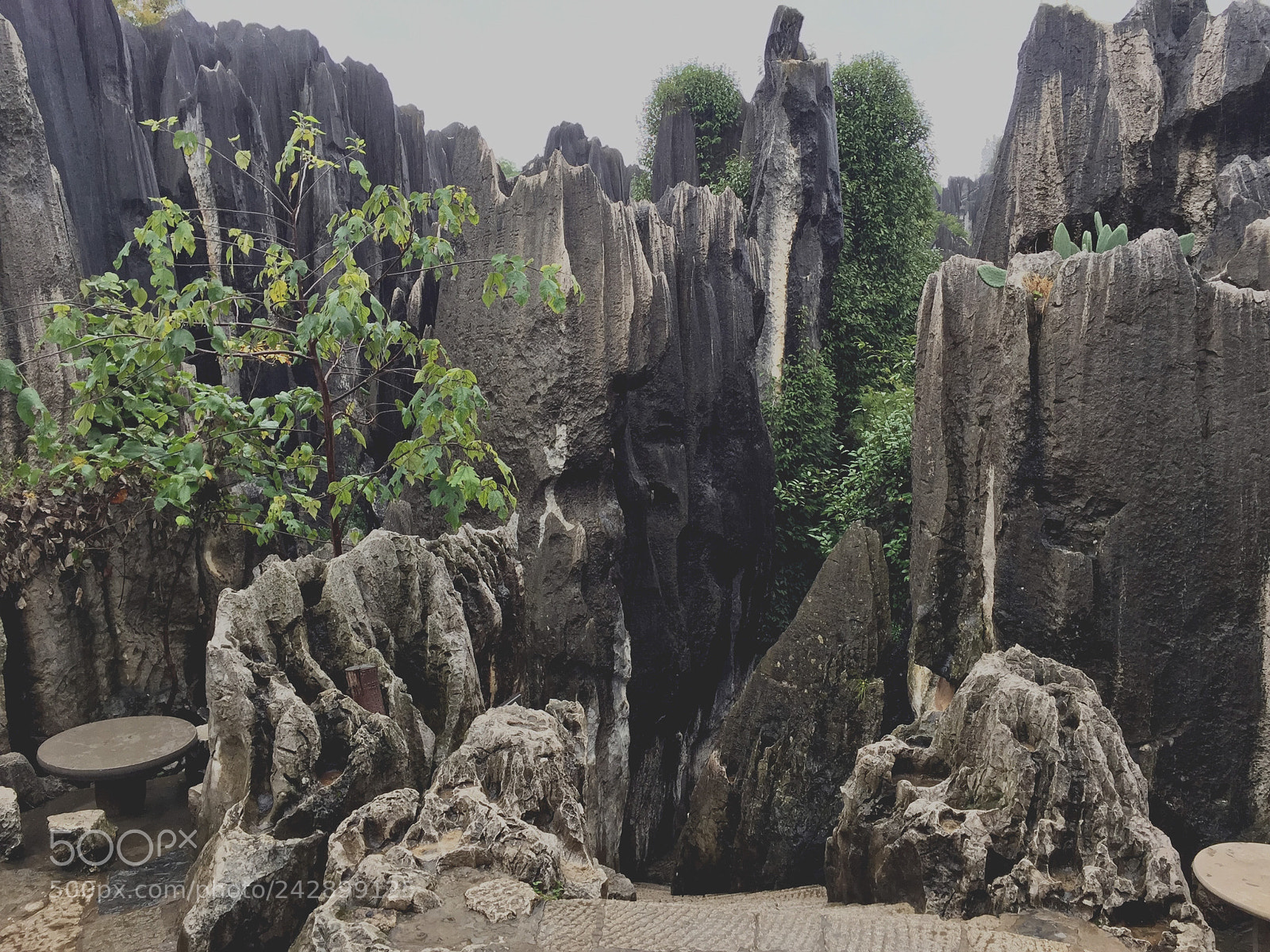 Apple iPhone 6 Plus sample photo. Shilin stone forest photography