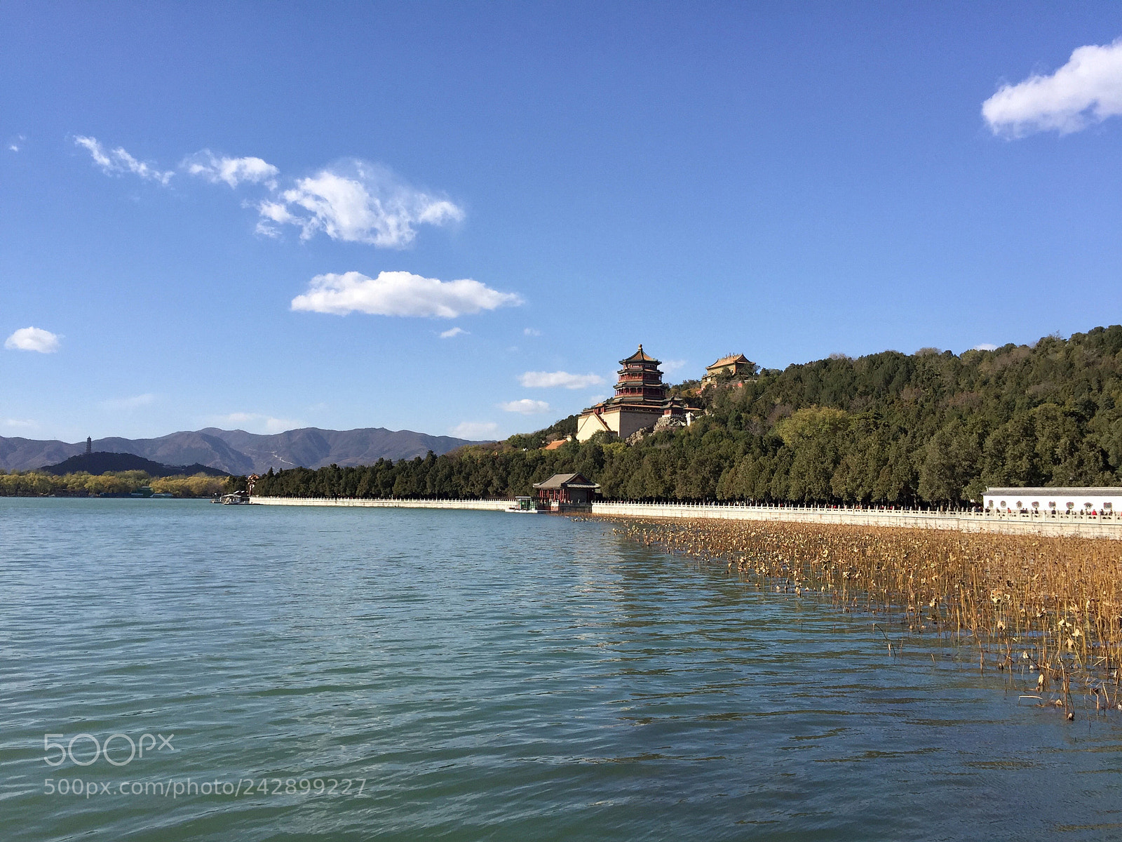 Apple iPhone 6 Plus sample photo. Summer palace photography