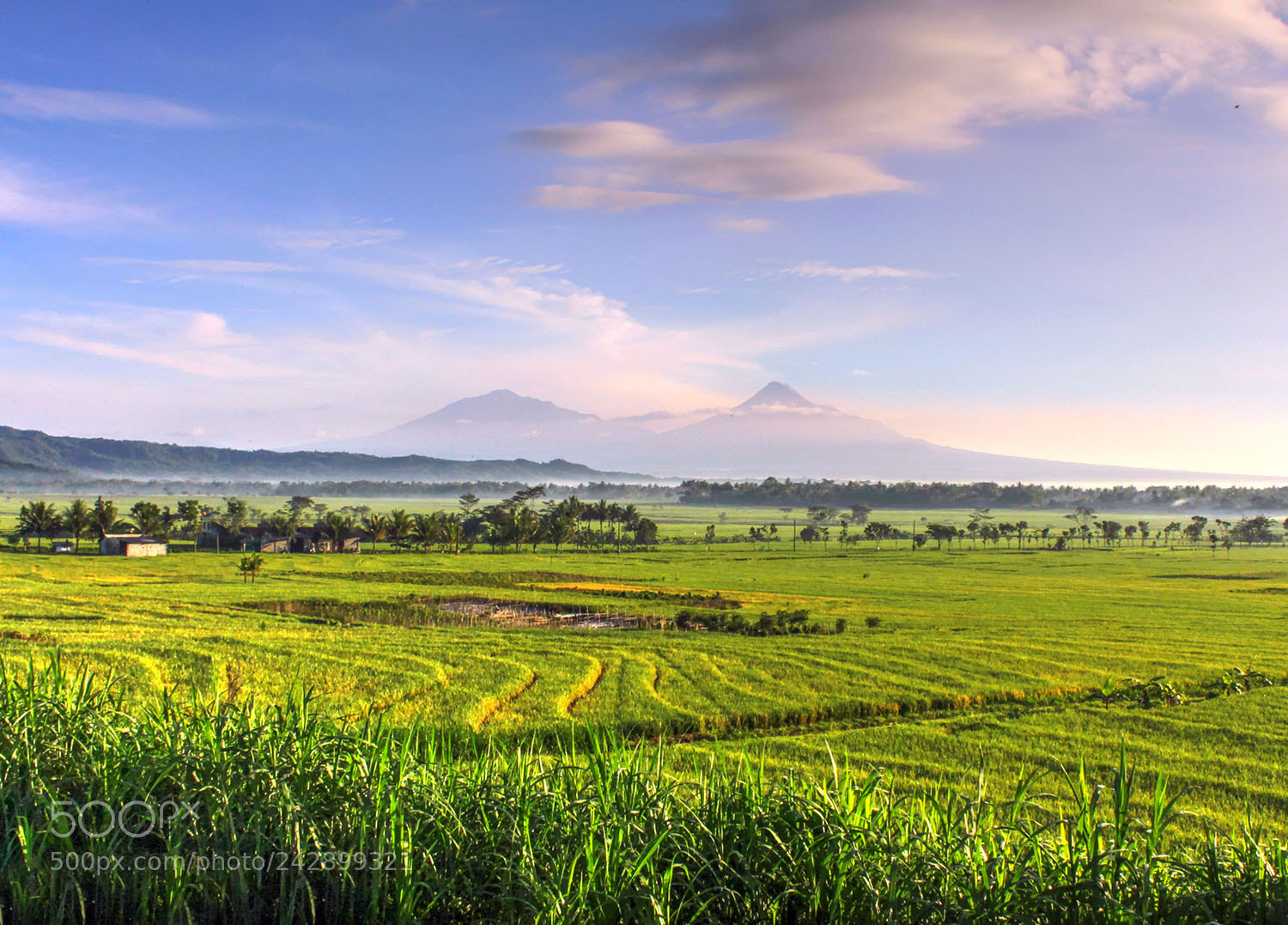 Canon EOS 650D (EOS Rebel T4i / EOS Kiss X6i) sample photo. Morning serenade photography