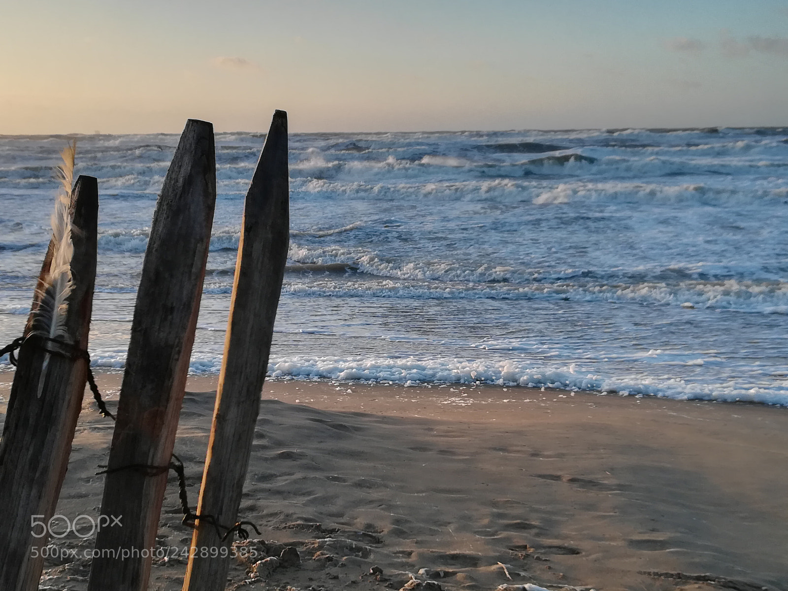 HUAWEI P10 lite sample photo. Stormy winds photography