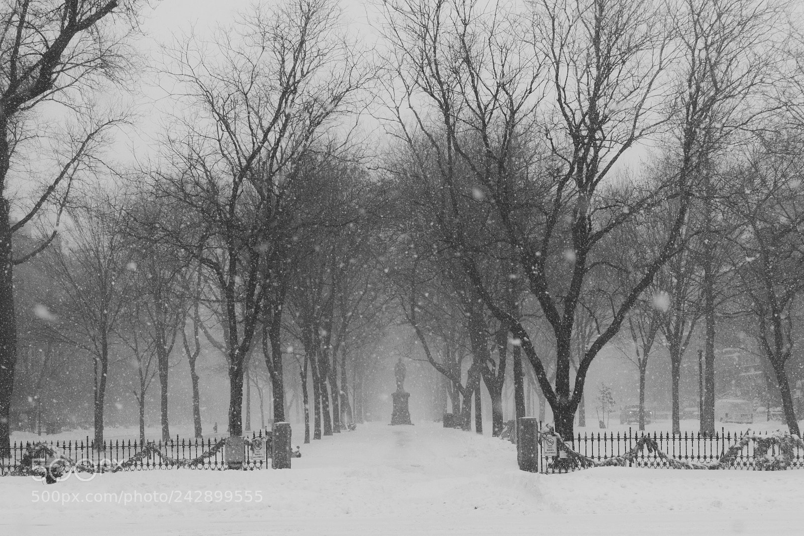 Pentax K-S2 sample photo. Commonwealth ave in the photography