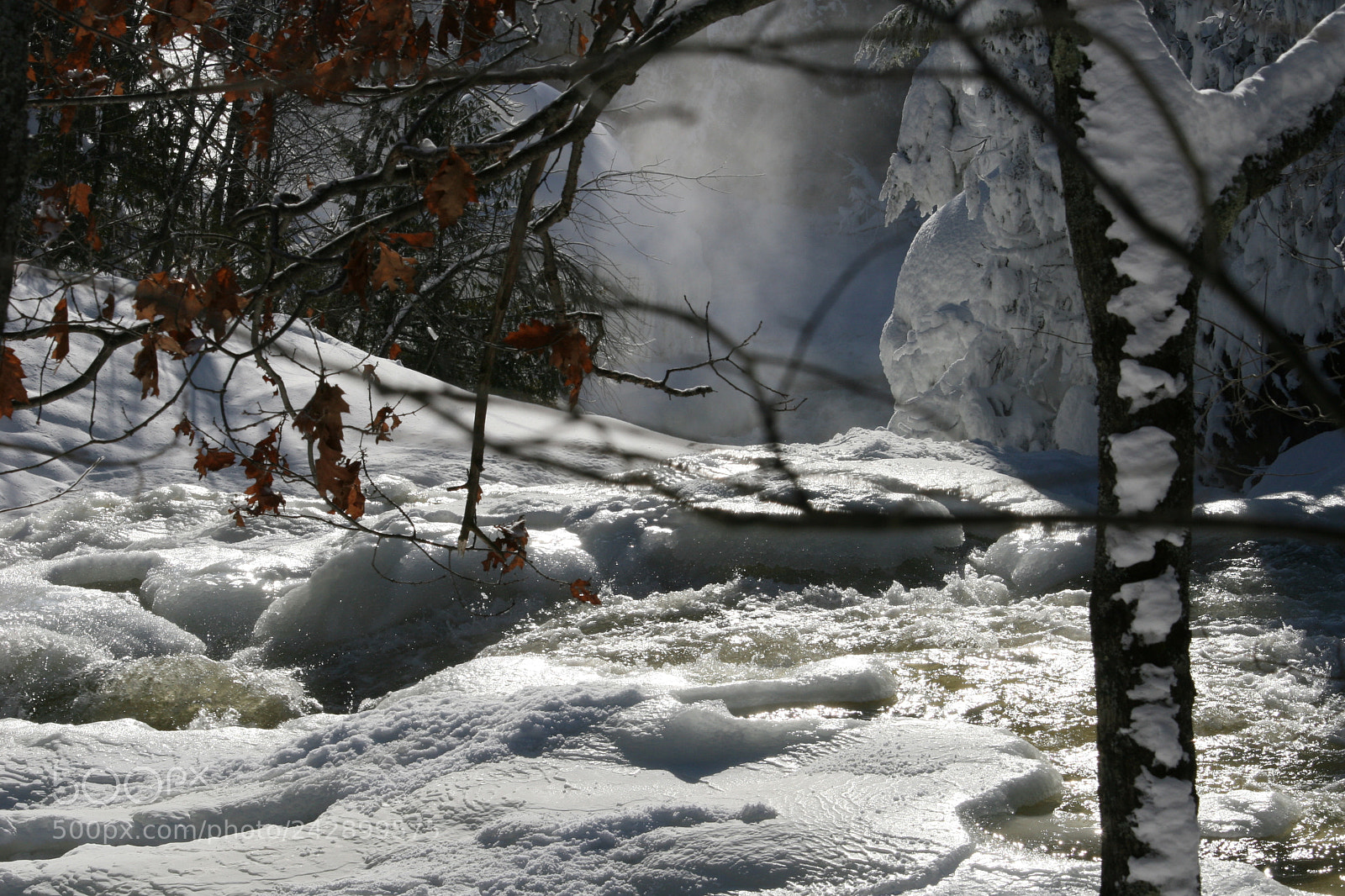 Canon EOS 30D sample photo. Untitled photography