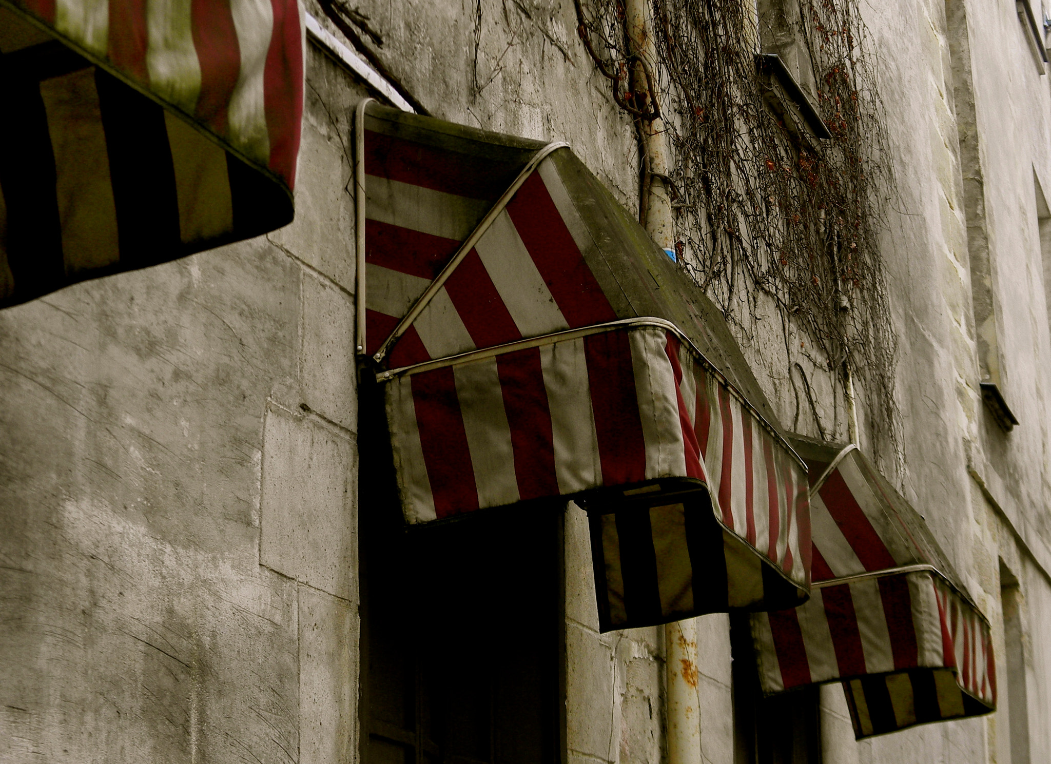 Nikon Coolpix L110 sample photo. Dirty candy cane photography