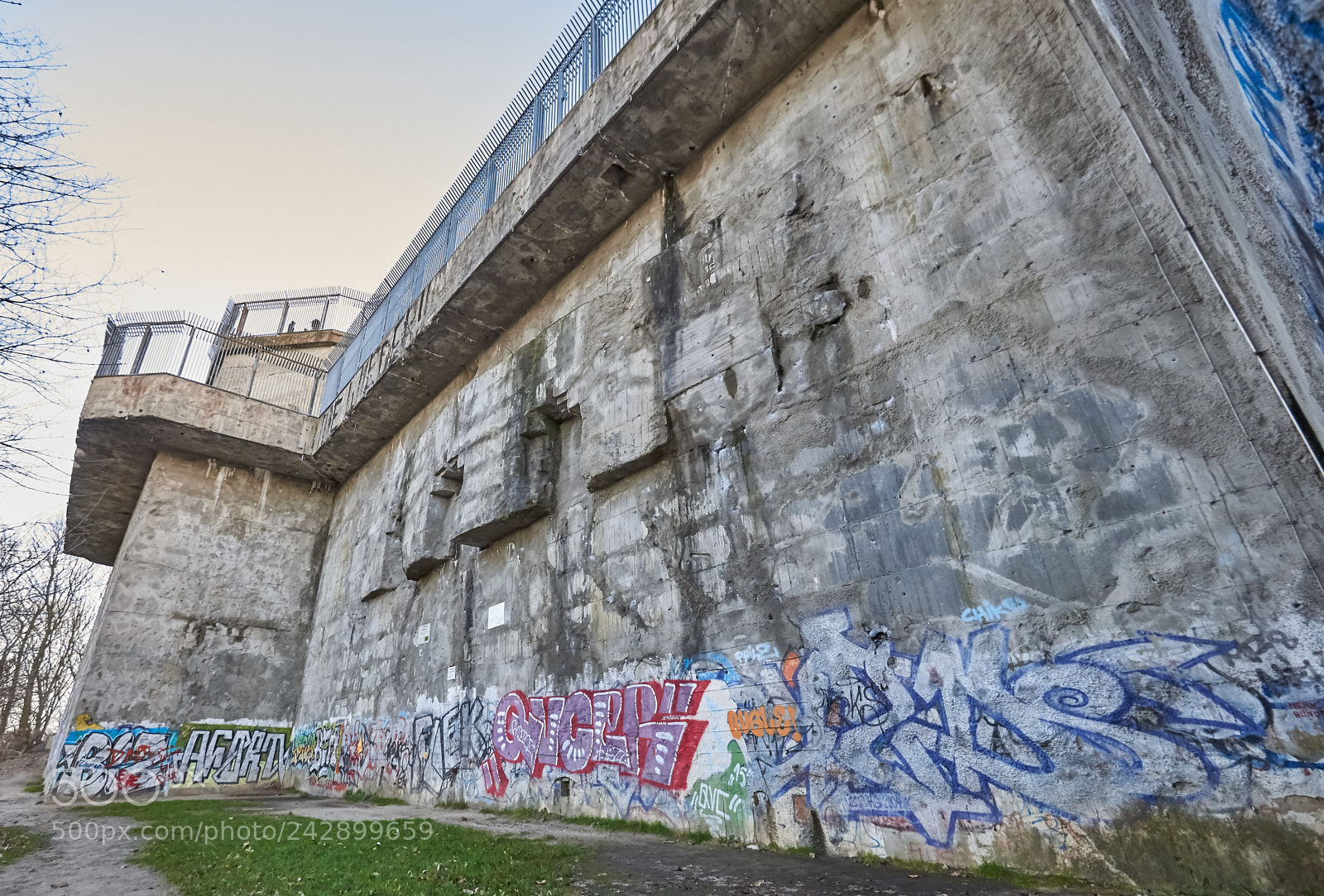 Nikon D610 sample photo. Gr. photography