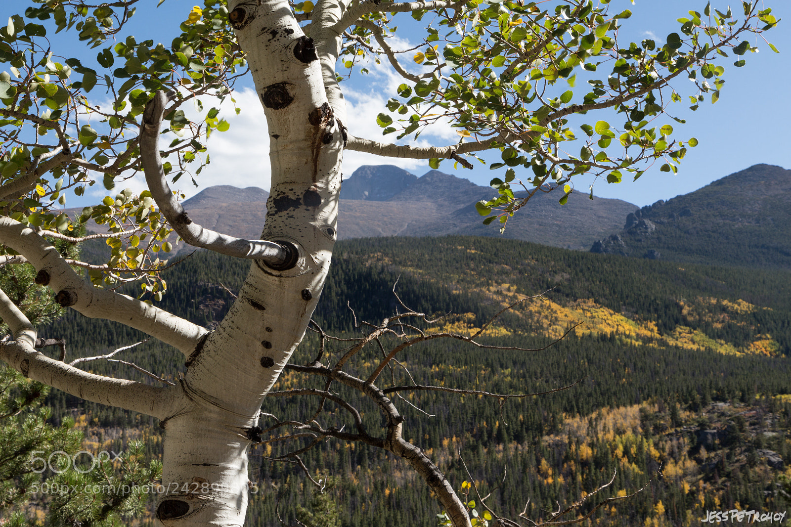 Canon EOS 650D (EOS Rebel T4i / EOS Kiss X6i) sample photo. View from bierstadt moraine photography