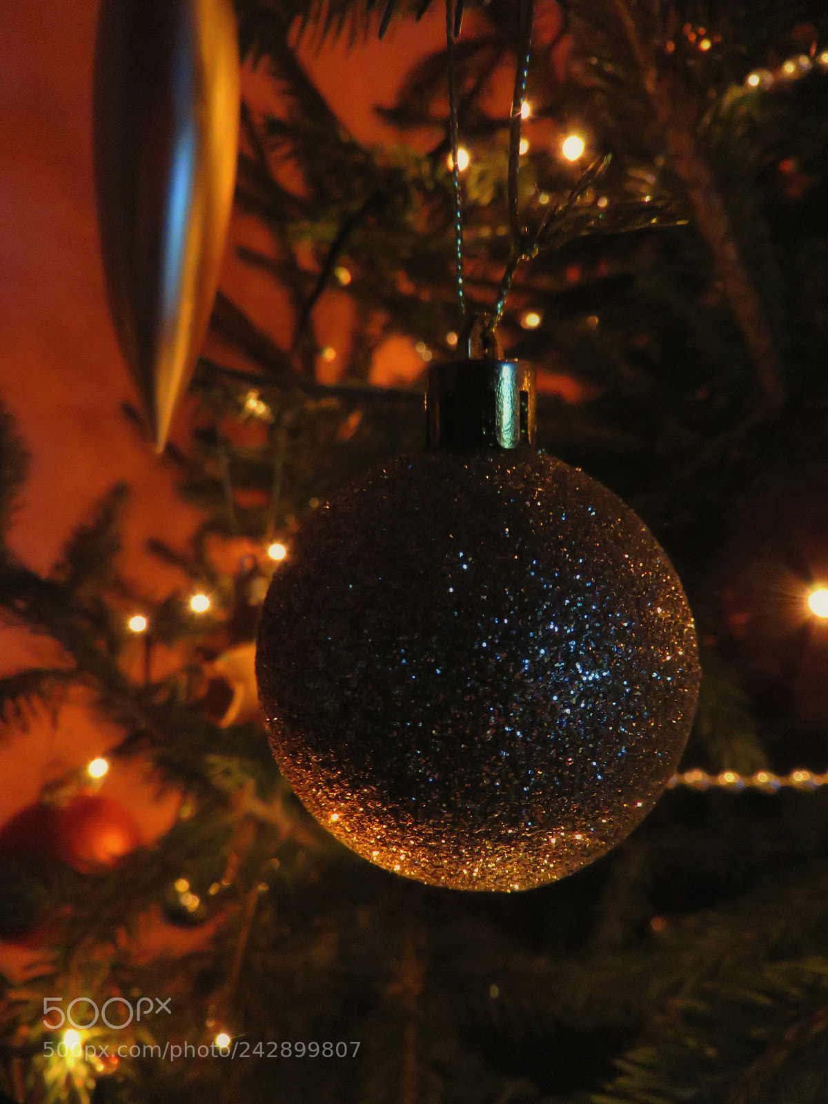 Canon PowerShot SX60 HS sample photo. Holiday ❤️ photography
