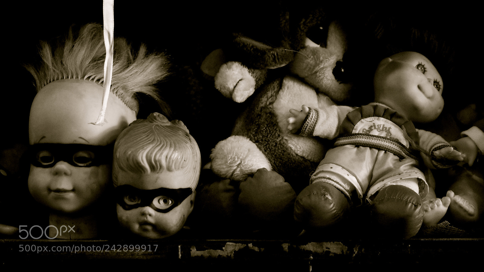 Sony Alpha NEX-3N sample photo. Doll heads of greensboro photography