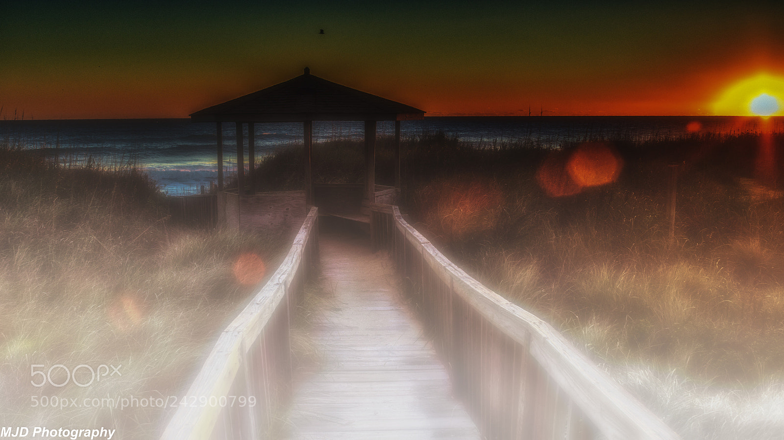 Sony SLT-A57 sample photo. Path to a sunrise photography