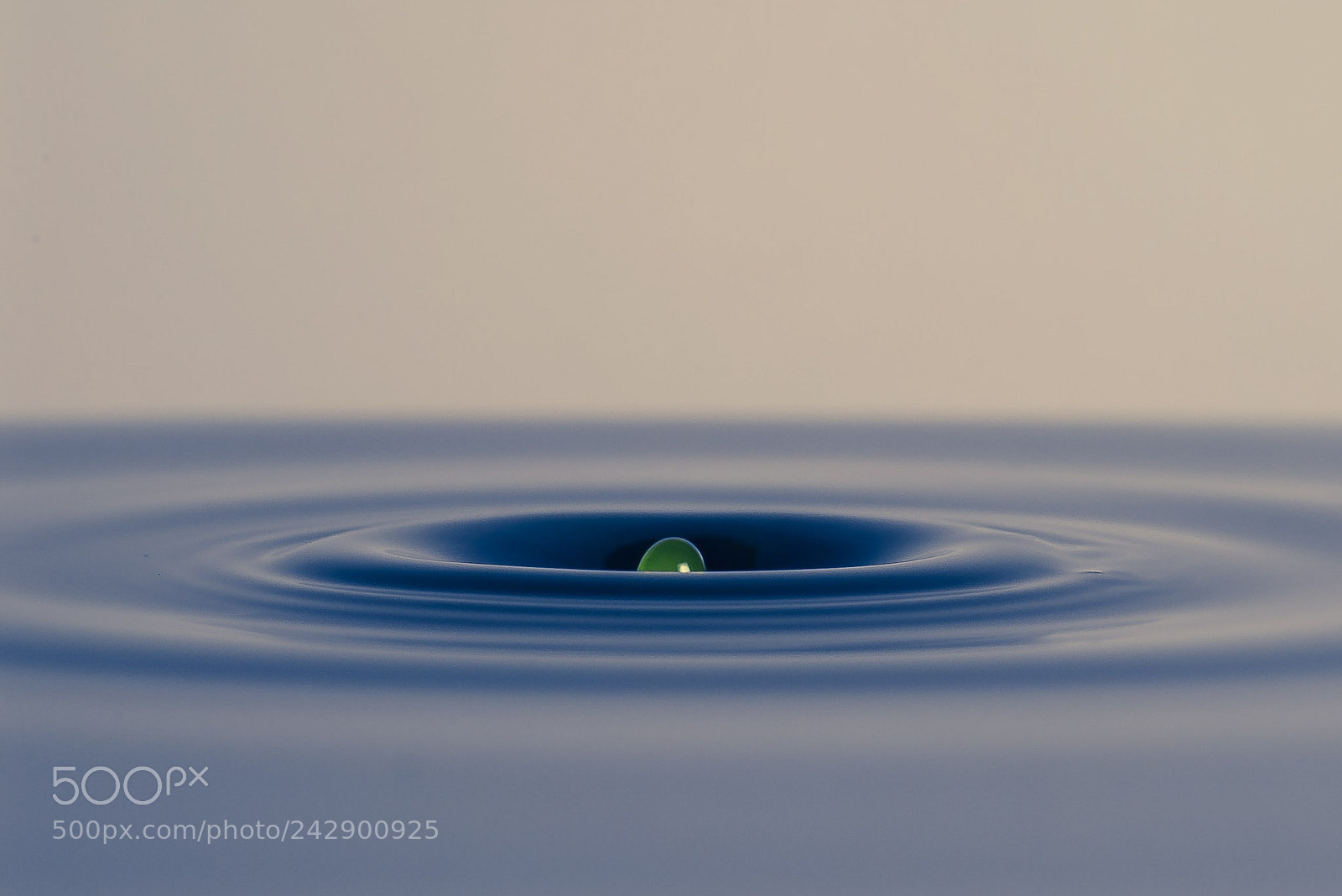 Nikon D610 sample photo. Green orb photography