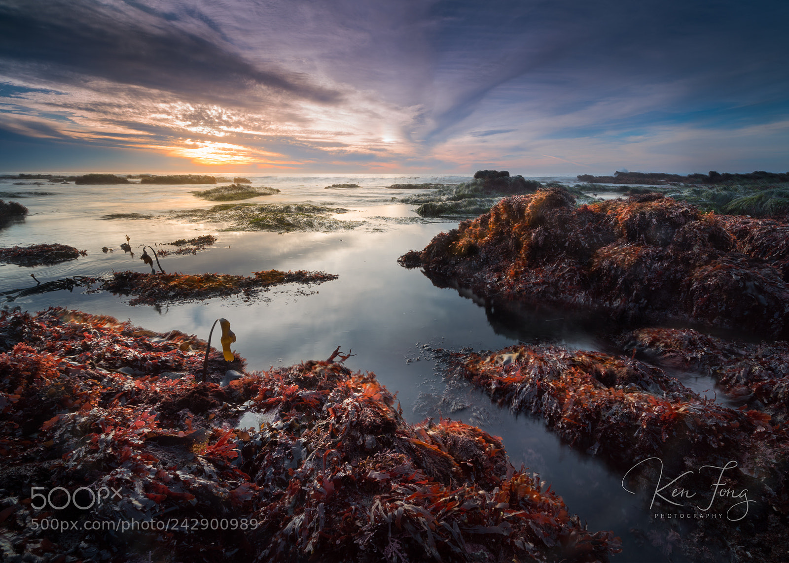 Sony a7R III sample photo. Moss beach 8 photography