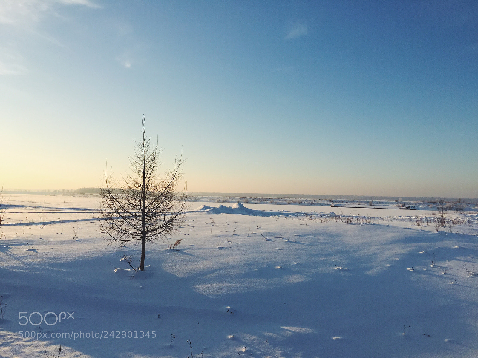 Apple iPhone 6 sample photo. Snow photography
