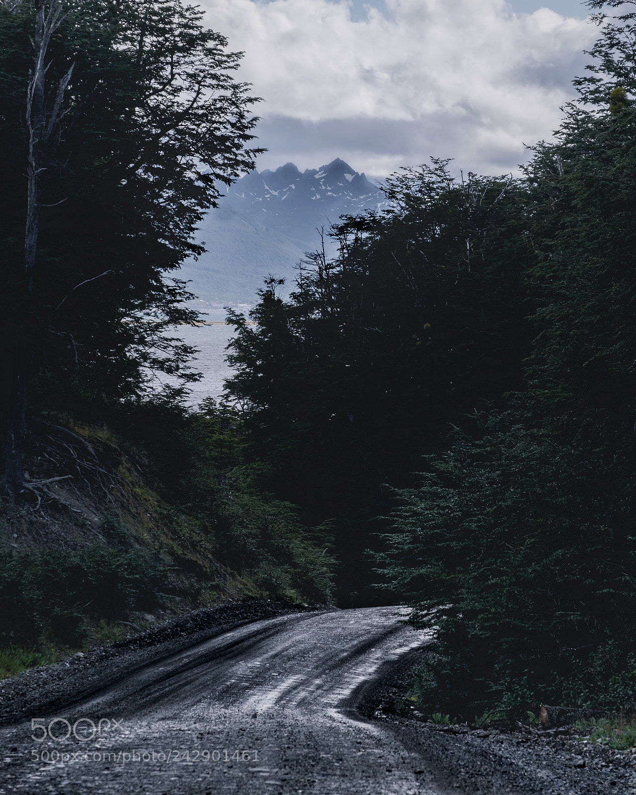 Fujifilm X-T2 sample photo. Hiding mountains photography