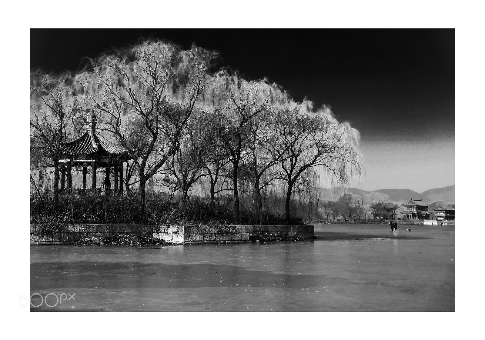 Fujifilm X-T1 sample photo. Untitled photography