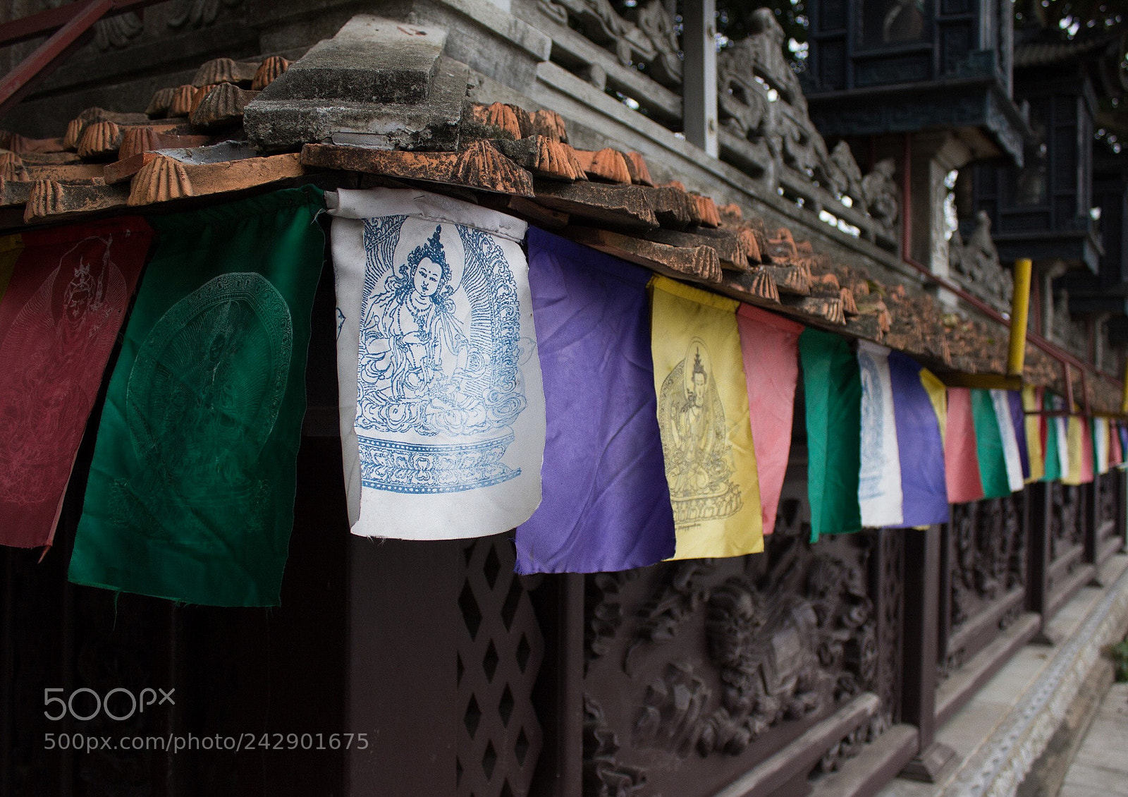 Canon EOS 1200D (EOS Rebel T5 / EOS Kiss X70 / EOS Hi) sample photo. Colorful exterior photography