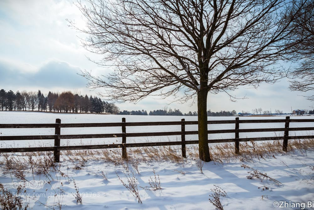 Nikon D610 sample photo. Snowy field #1 photography