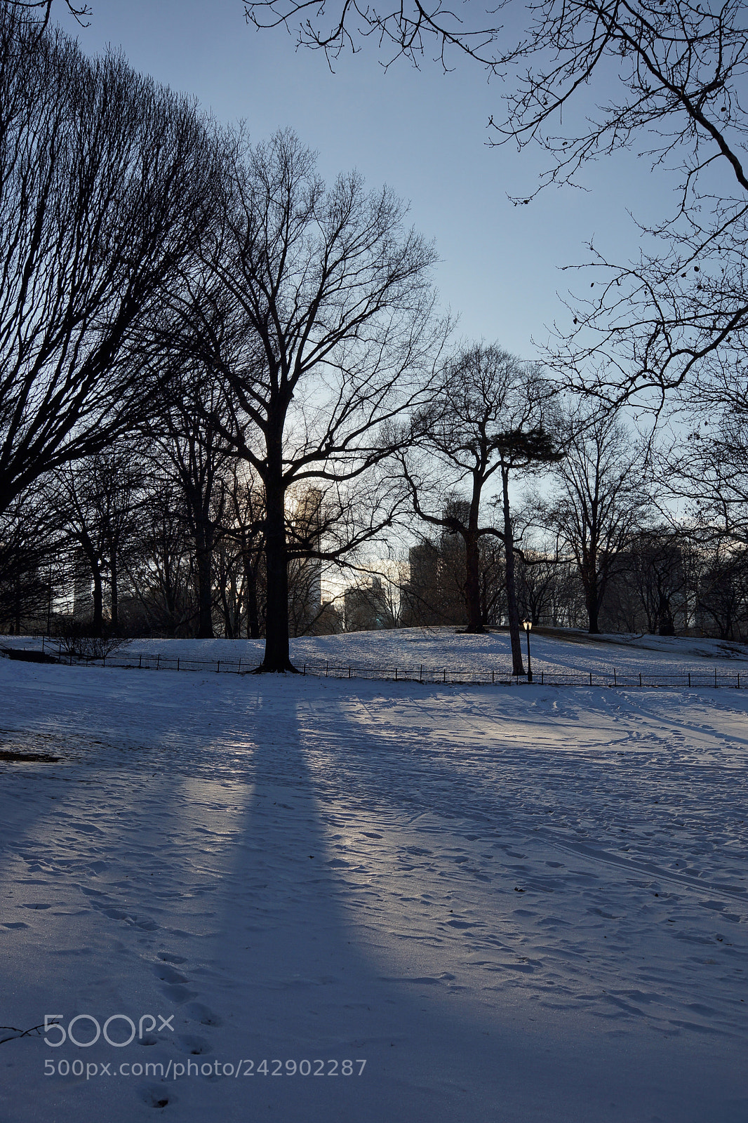 Sony SLT-A65 (SLT-A65V) sample photo. Snow in central park photography