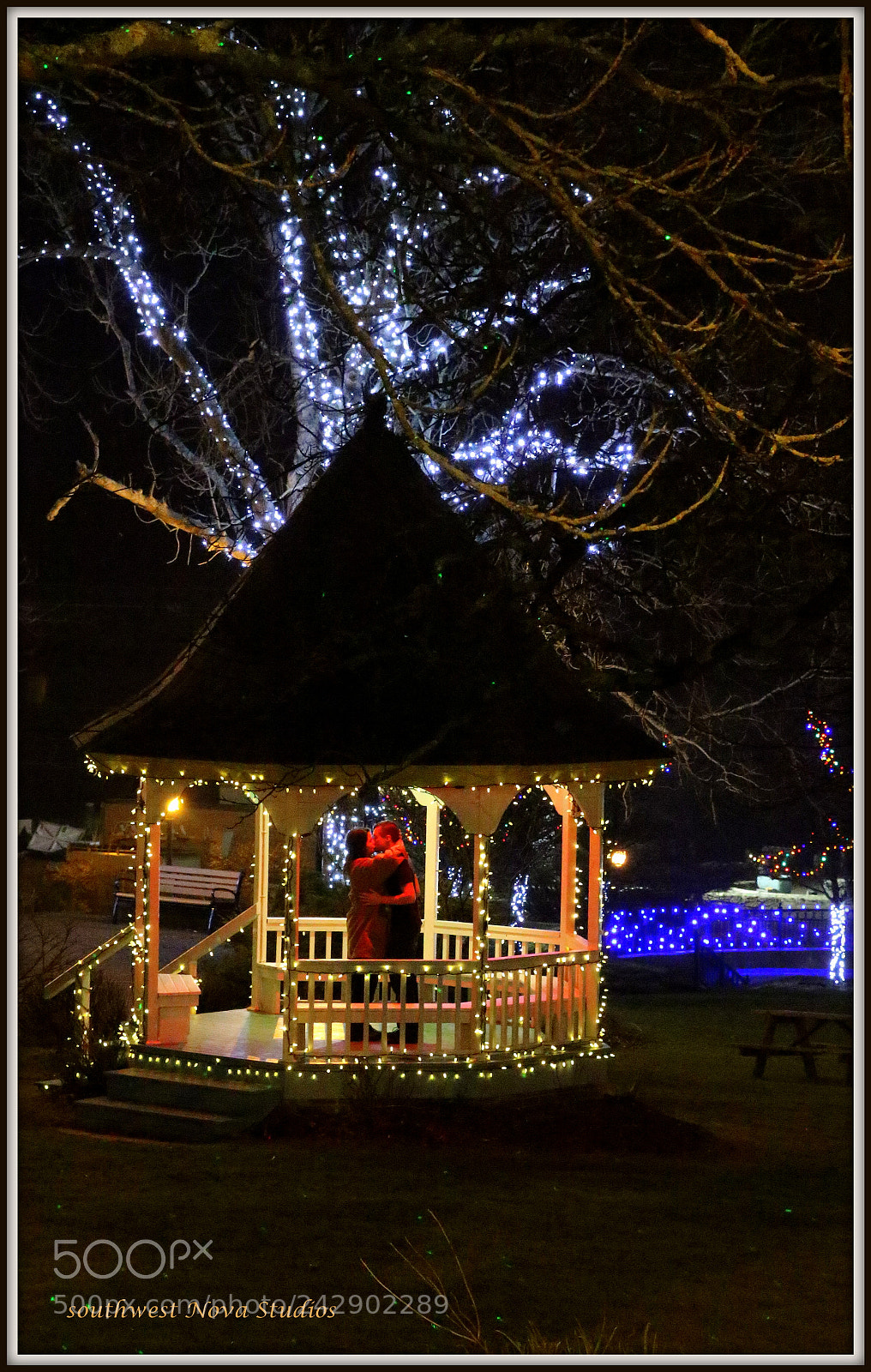 Canon EOS 7D Mark II sample photo. Da photography