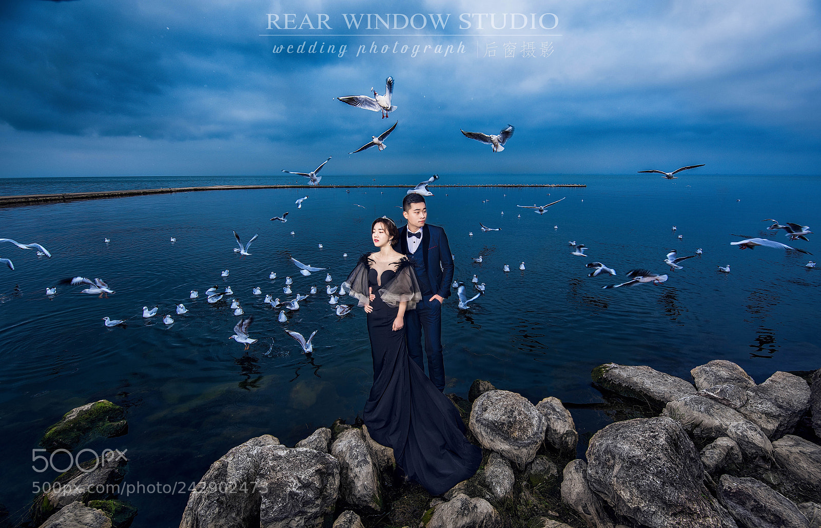 Nikon D810 sample photo. Untitled photography