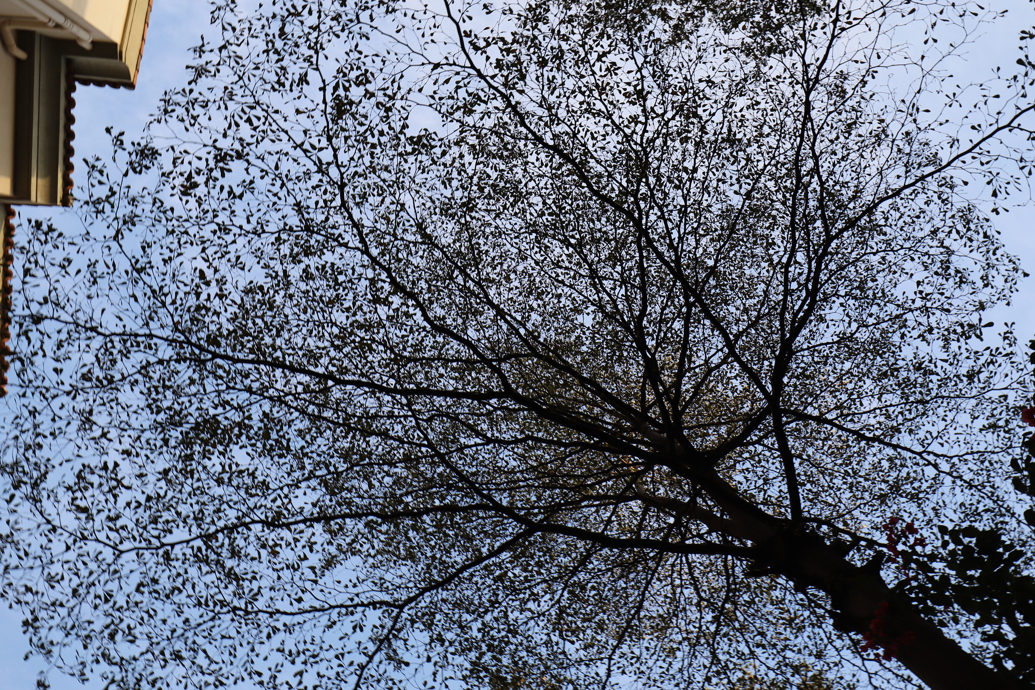 Canon EF 16-35mm F4L IS USM sample photo