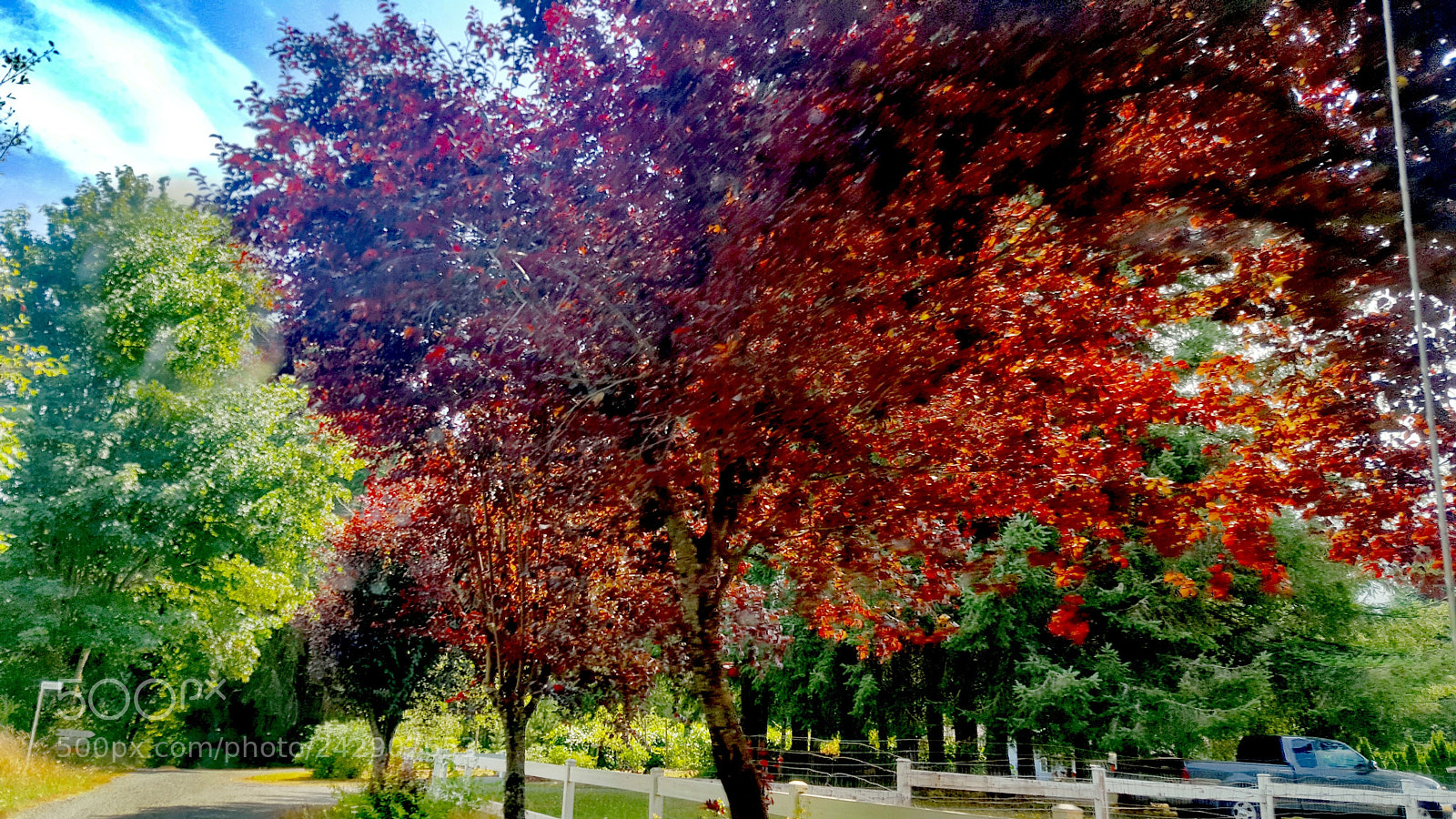 Samsung Galaxy S6 sample photo. Untitled photography