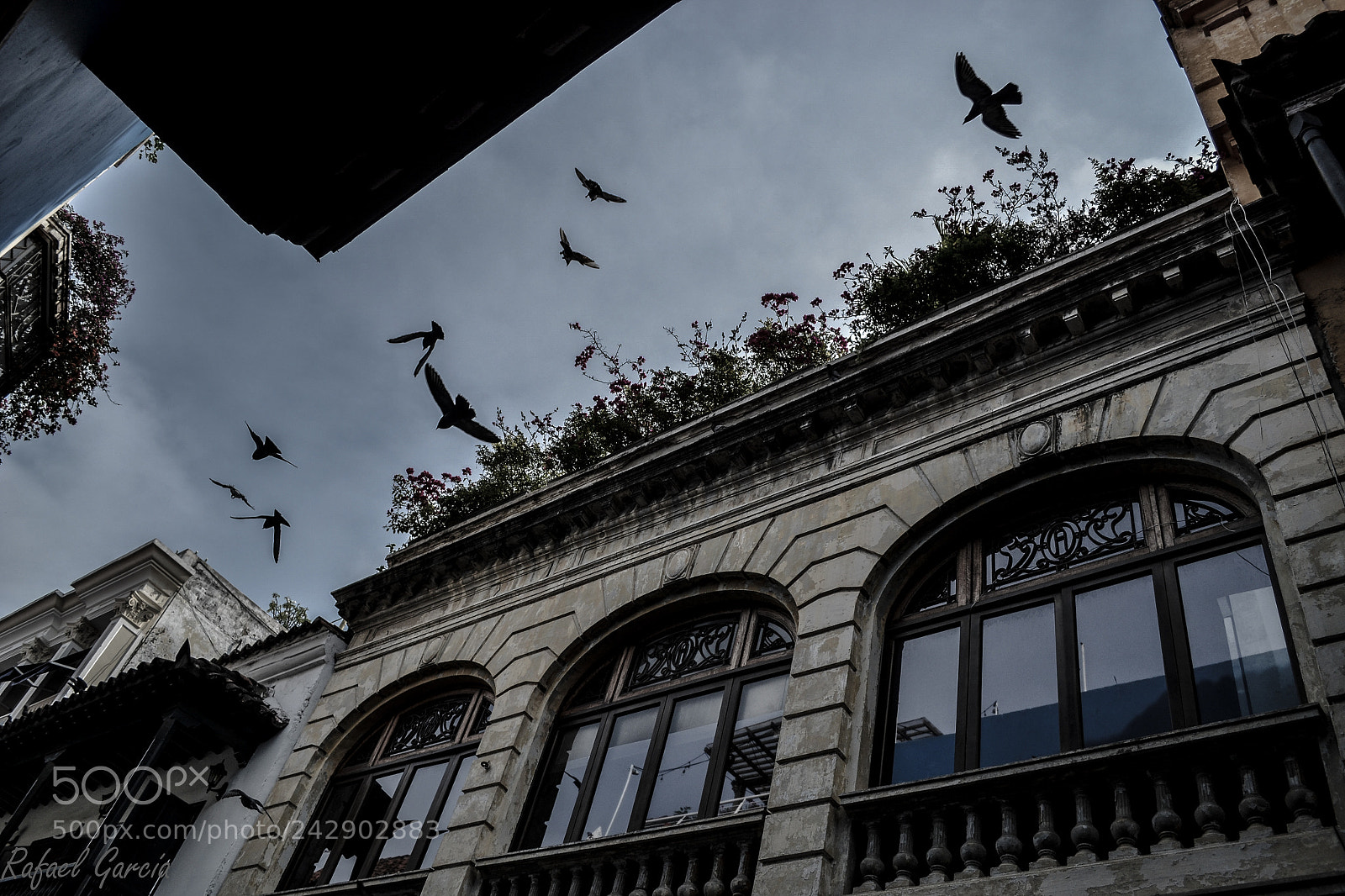 Nikon D3100 sample photo. Vuelo photography