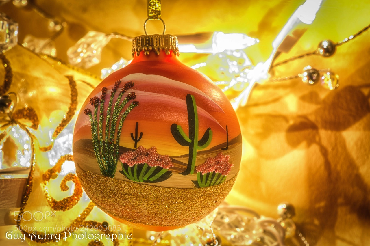 Nikon D3 sample photo. Christmas in the desert photography