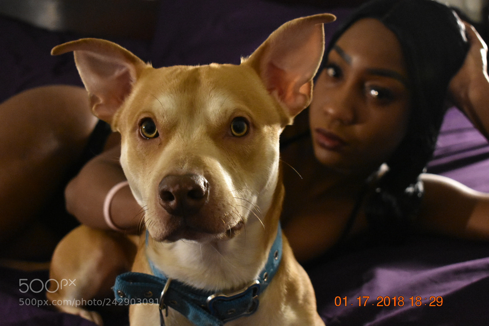 Nikon D3400 sample photo. Untitled photography