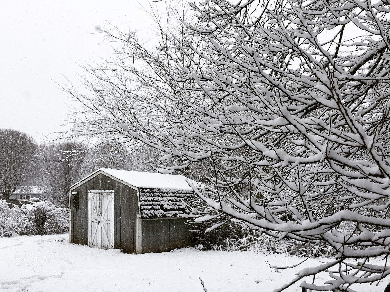 Apple iPhone 6s sample photo. Snow on charlotte photography