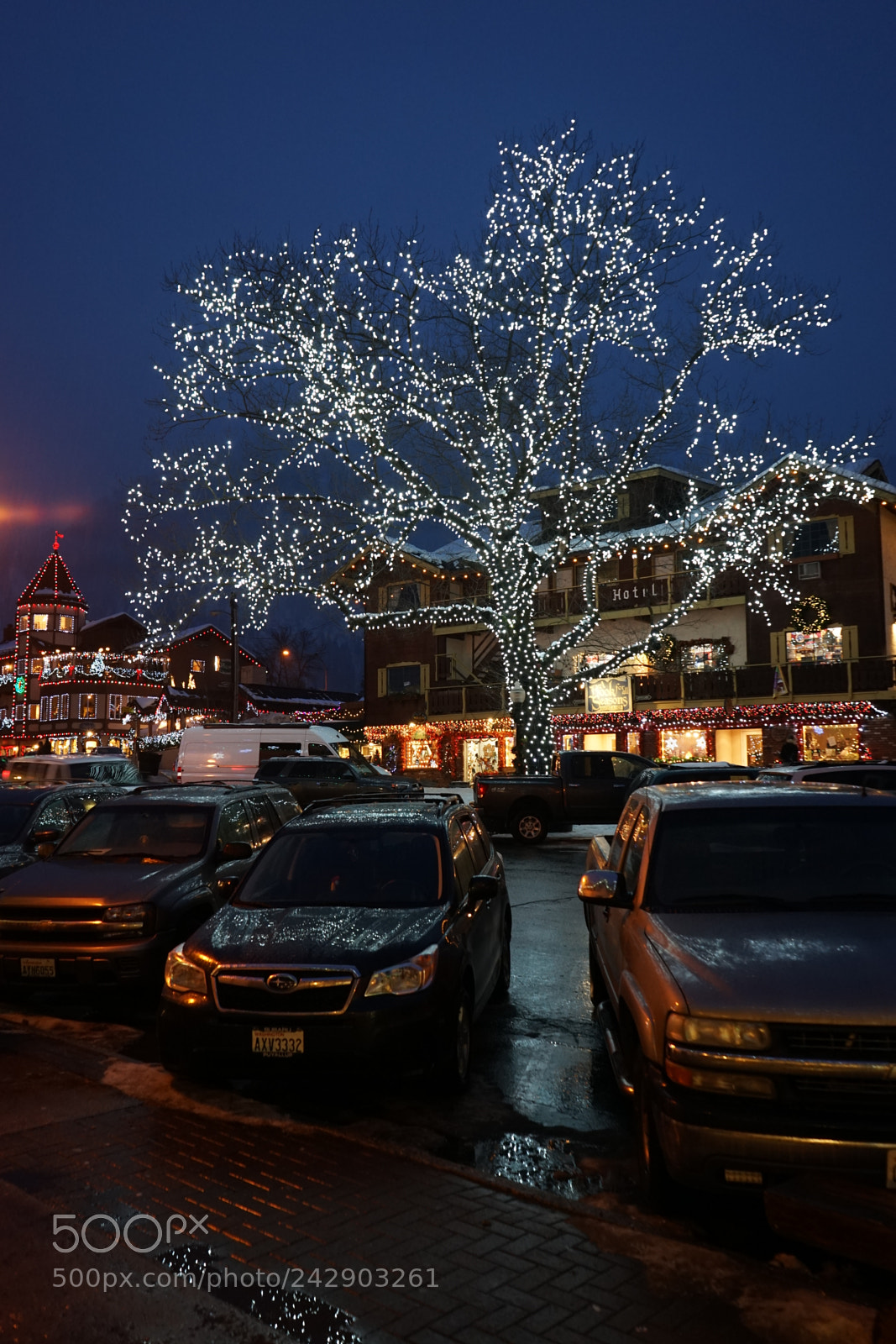 Sony a7 II sample photo. Dsc photography