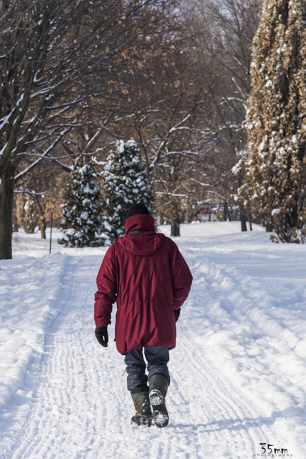 Nikon D610 sample photo. Cold walk photography
