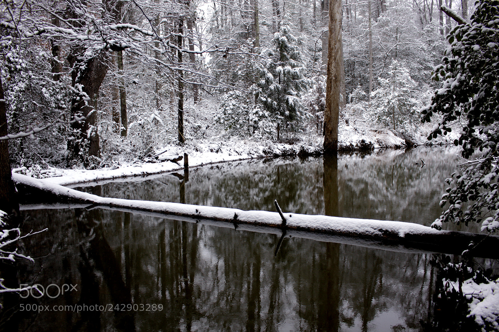 Canon EOS 700D (EOS Rebel T5i / EOS Kiss X7i) sample photo. Winter reflections photography