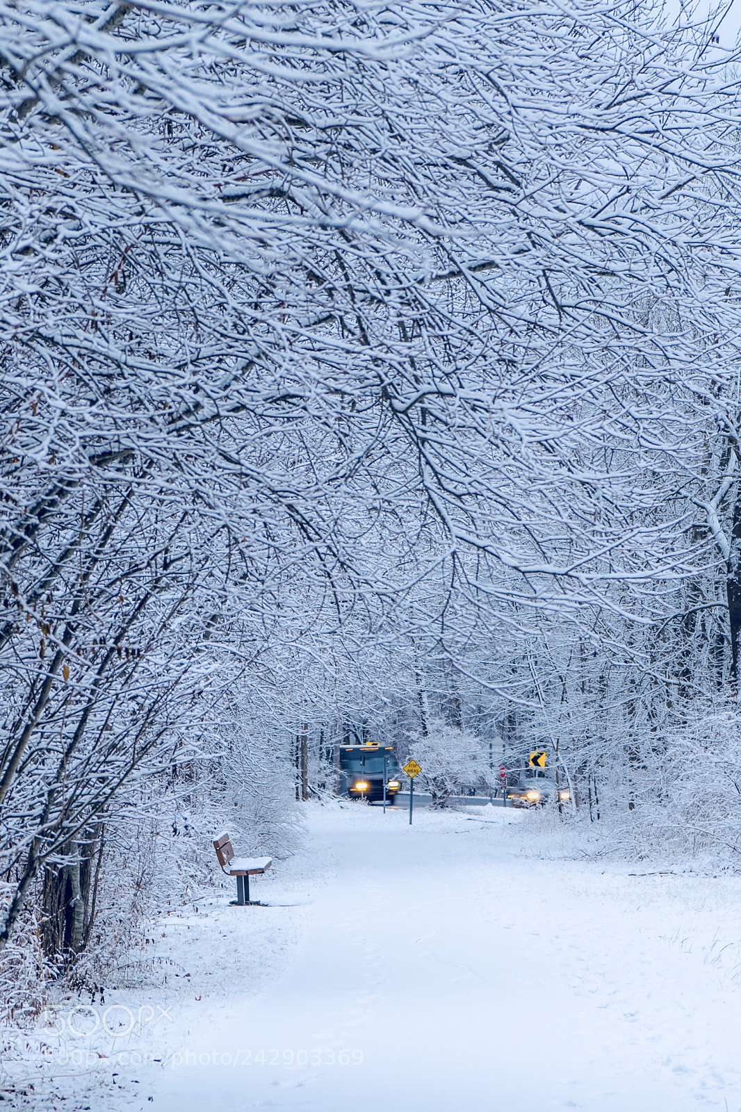 Nikon D850 sample photo. Light snow photography