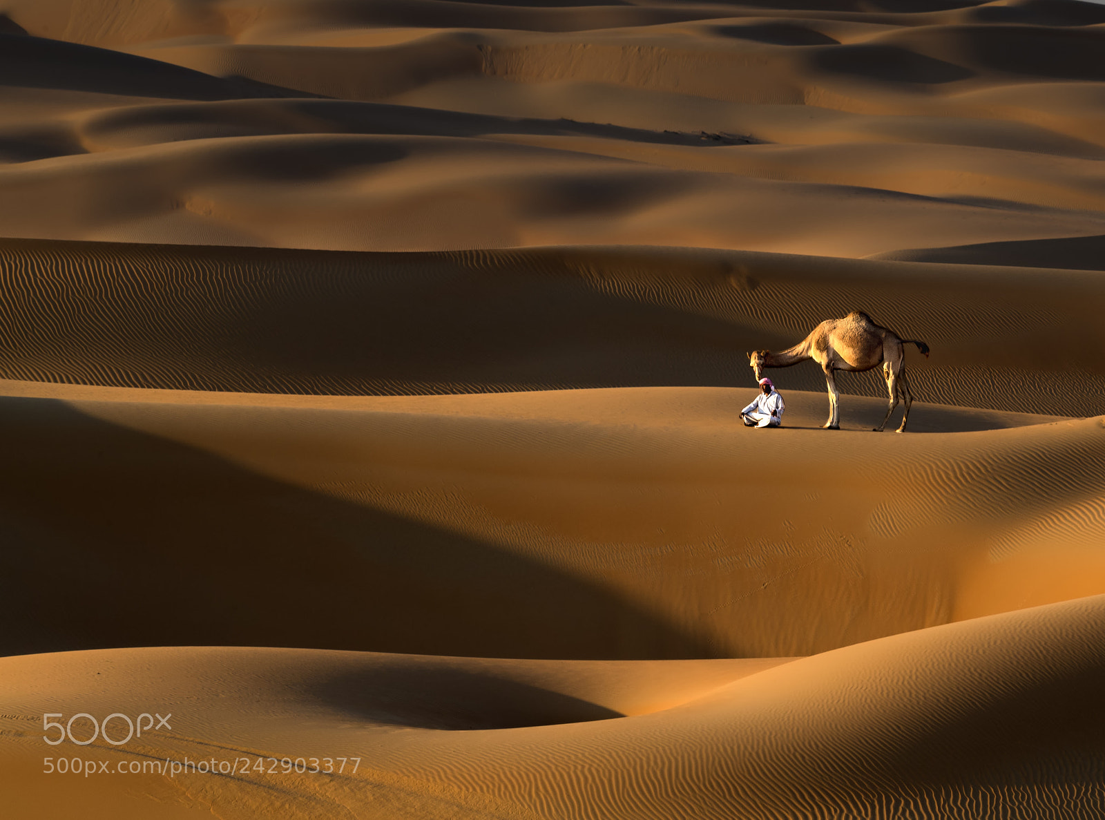 Canon EOS-1D X Mark II sample photo. Liwa dunes photography