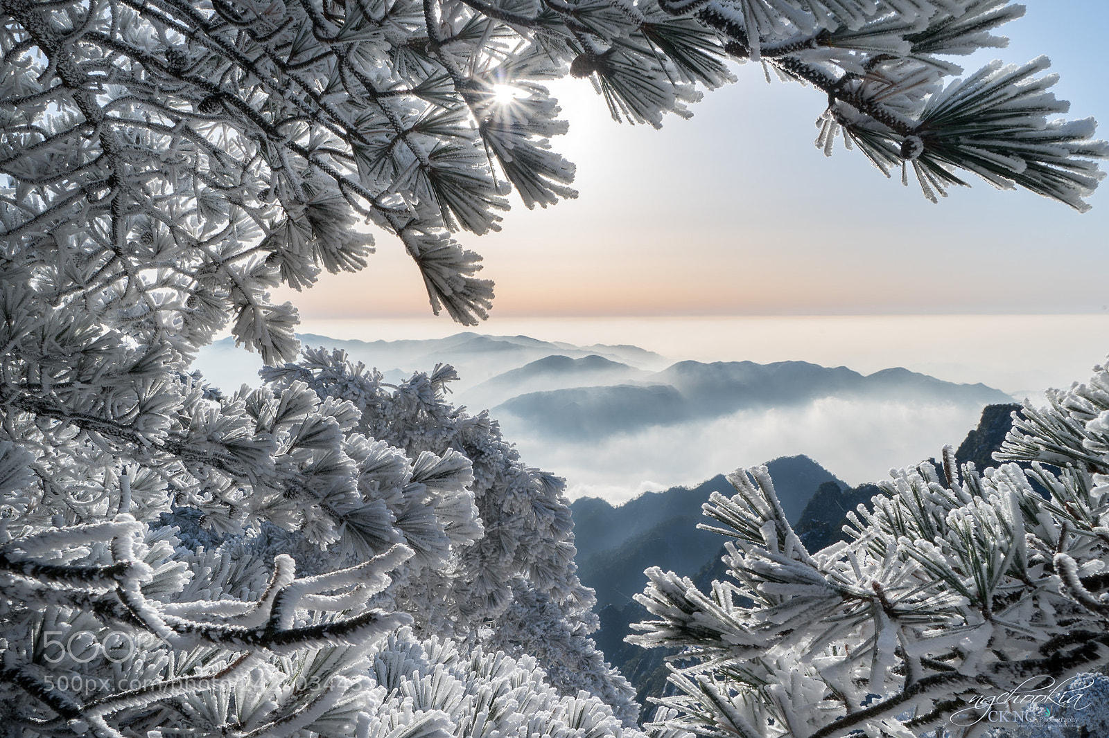 Sony a9 sample photo. 雪凇 snow yuki  ii 黃山-huangshan-china photography