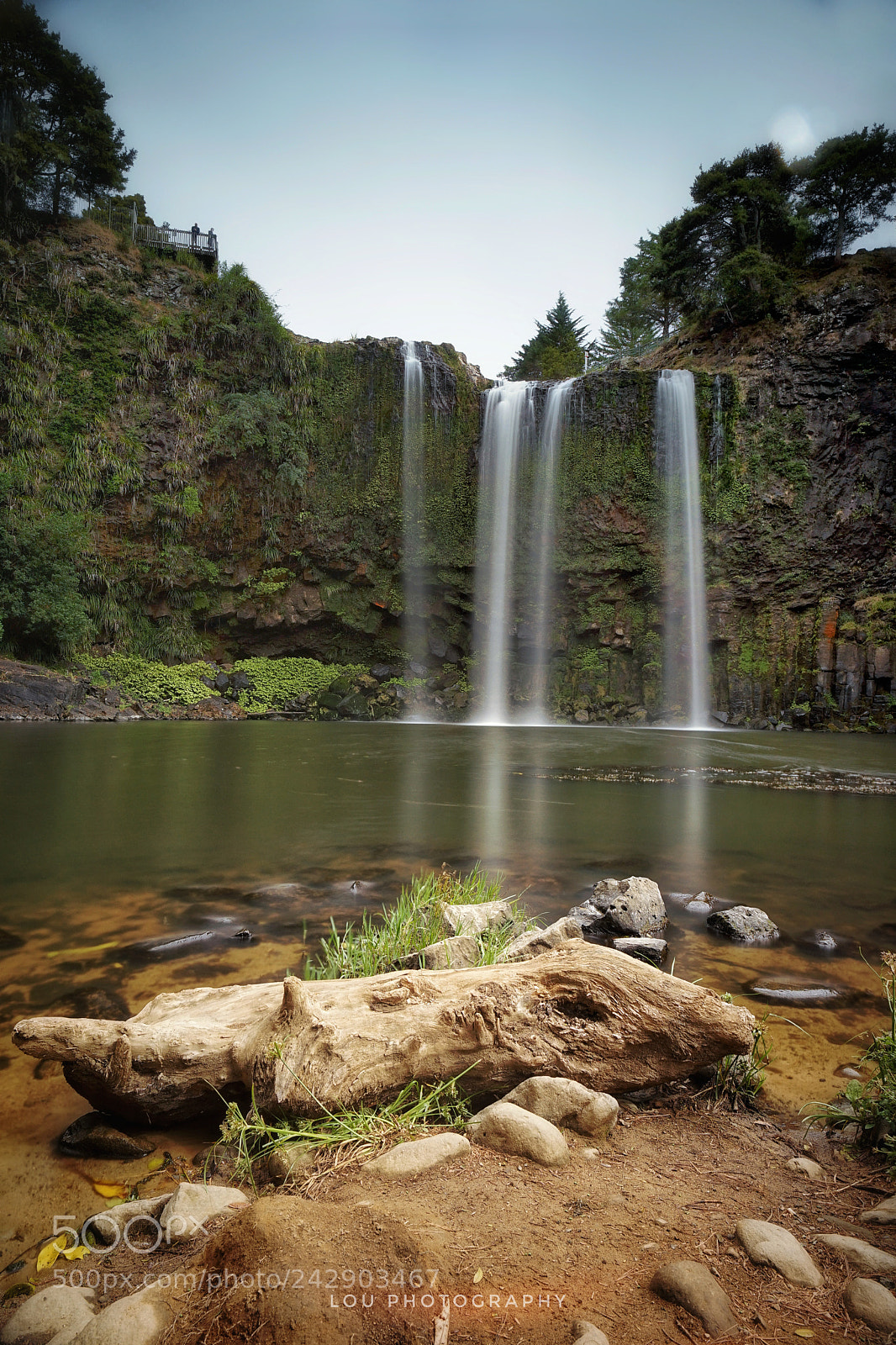 Sony a7 II sample photo. Whangarei fall photography