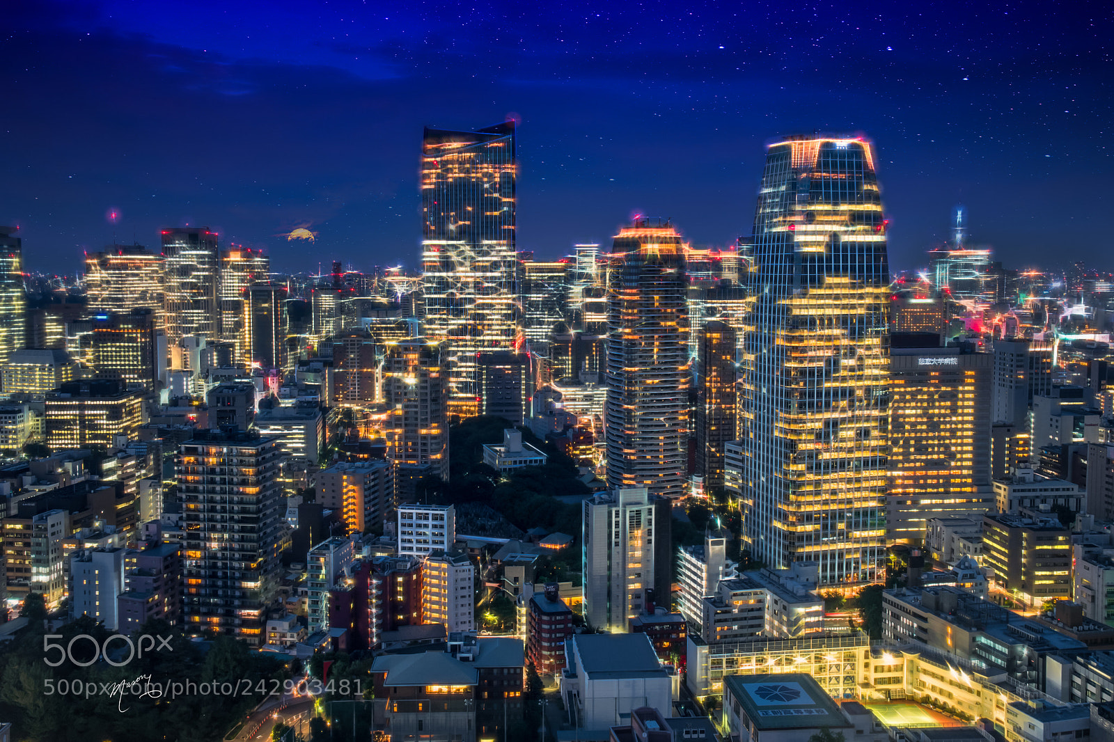 Nikon D500 sample photo. Moonrise over tokyo photography